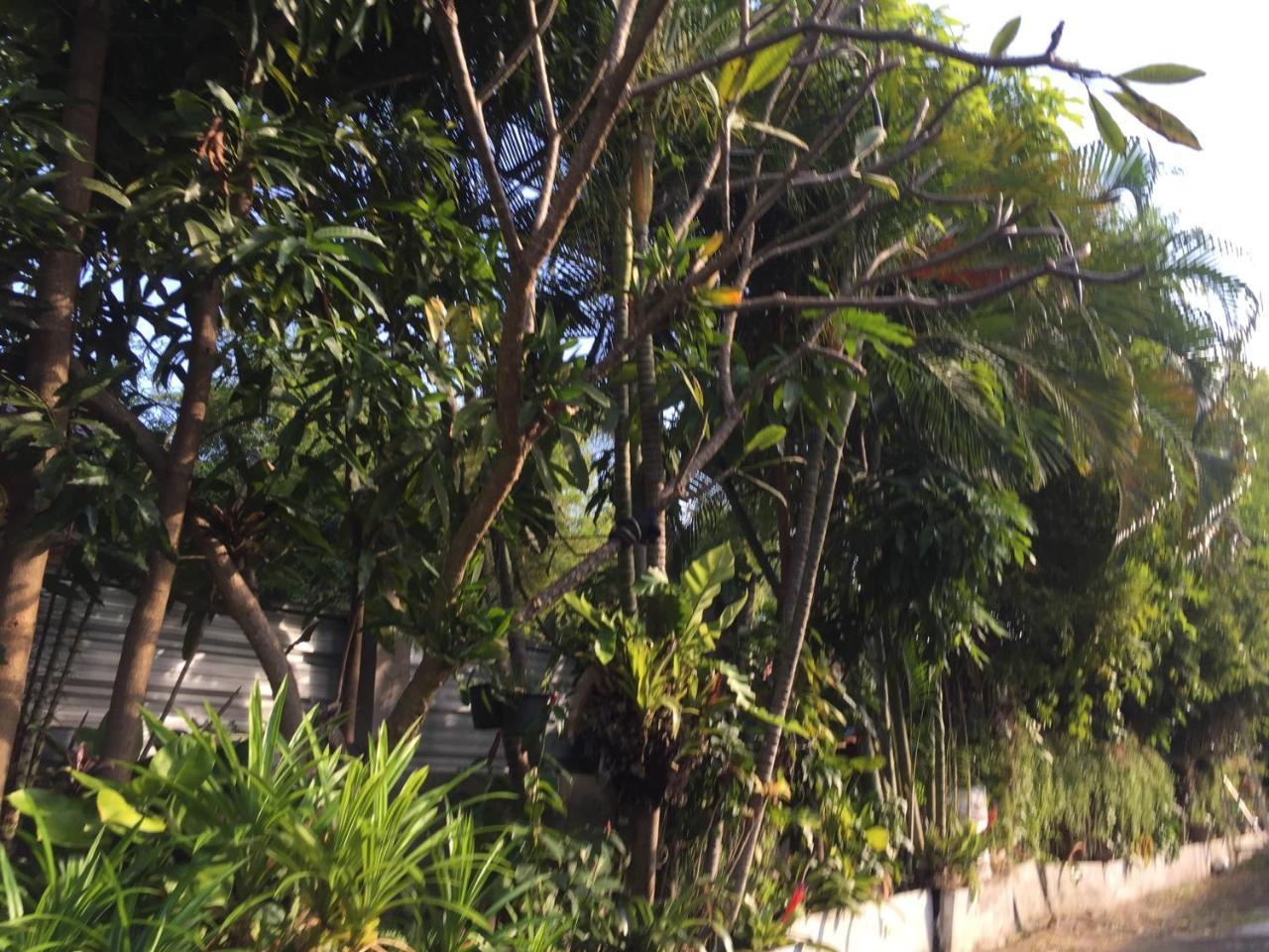 Nan Inn Bungalow Karon Exterior foto